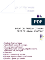 Histology of Nervous Tissue 2010