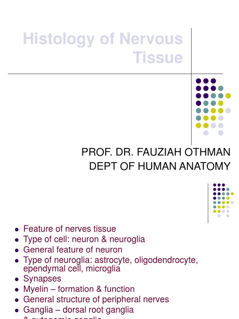 Nervous Tissue Histology Overview | PDF | Neuron | Central Nervous System