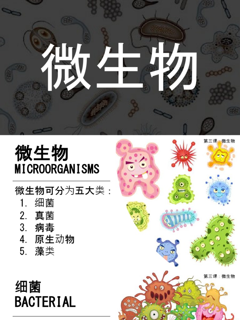 微生物 Pptx