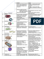 tabelorganelsel.pdf