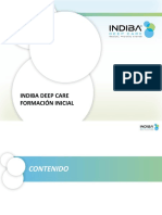 Idc Formación Inicial 2017 PDF
