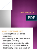 Biodiversity Myp2