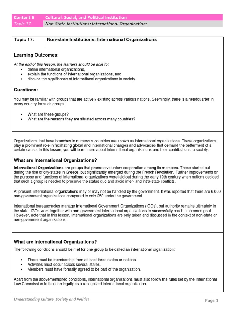 Topic 17 Non-State Institutions International Organizations | PDF | Non ...