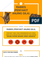 386004787-Penyuluhan-Rabies.pptx
