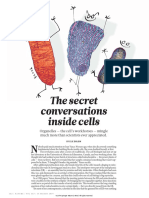 Organelle Cross Talk