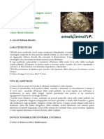 ostrica.pdf
