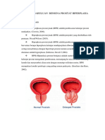 LP Benigna Prostat Hiperplasia BPH