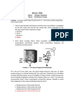 Soal Revisi 2