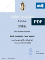 Certificat Curs Depresii 2019 PDF