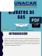 Equipo 9 HIDRATOS DE GAS