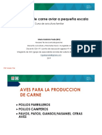 produccion de carne aviar.pdf