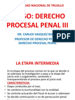 Derecho Procesal Penal Iii