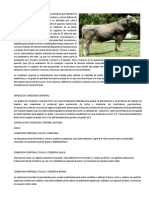 04 condicion corporal-1.docx