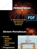 sistem pernafasan.pdf
