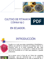 Pitajaya Produccion en Ecuador PDF