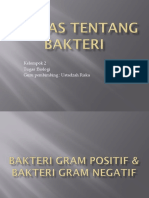 Makalah Tentang Bakteri Tgs Kelompok 2