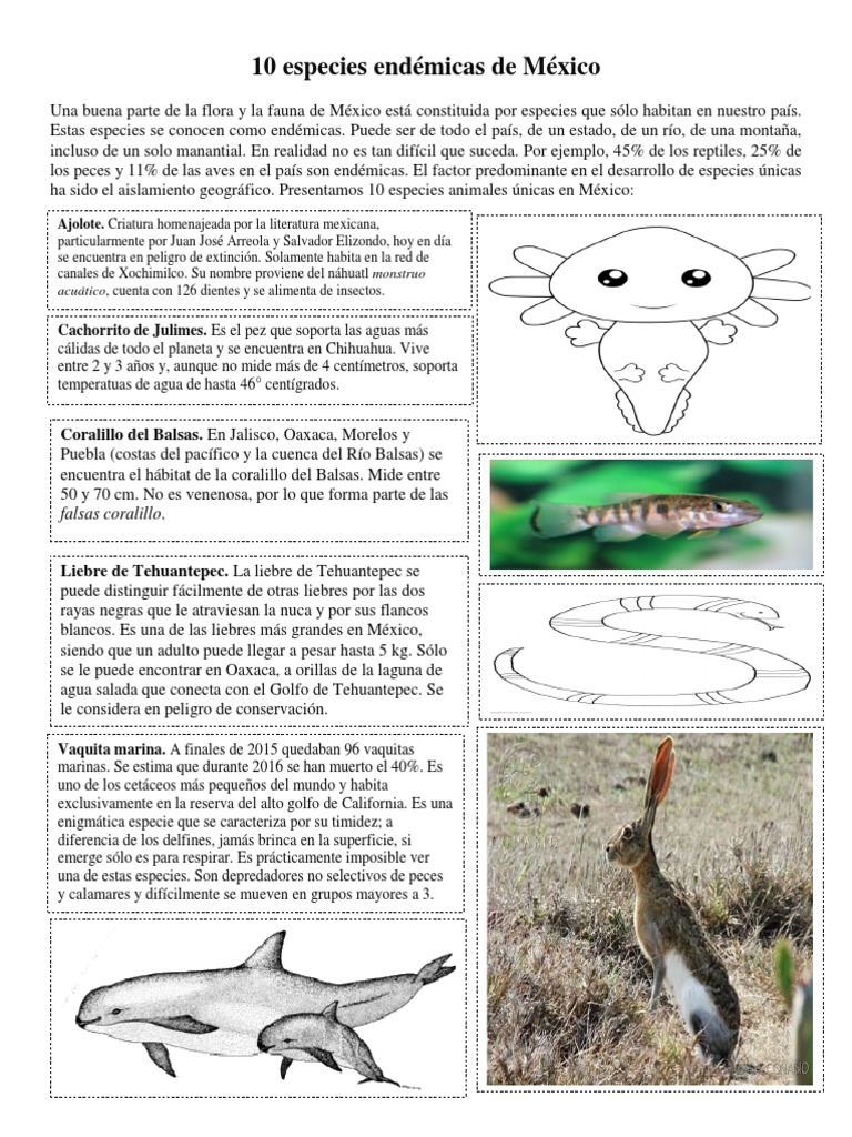 ESPECIES ENDEMICAS DE MEXICO pdf