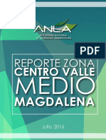 Reporte ANLA VMM PDF