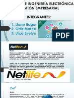 Netlife CNT