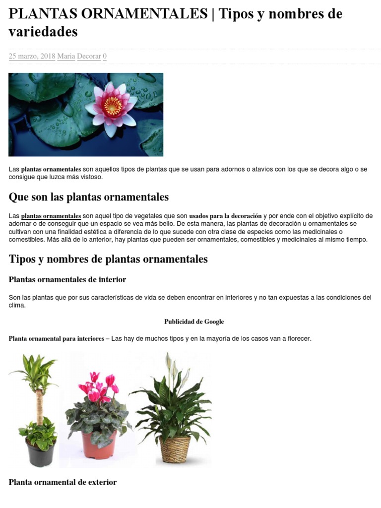 Plantas Ornamentales