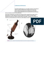 2.2 Technologies Used To Determine Cell Structure