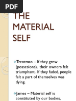 The Material Self