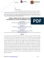 Child Labor and Its Impact On Society A Sociological Study of District Malir, Karachi