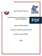 IPN UPIIG Ingeniería Biotecnológica Laboratorio Molecular