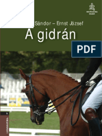 Gidran PDF