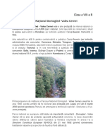 Proiect Geografie Parcul Național Domogled- Valea Cernei
