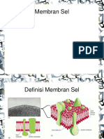 membran_sel.pdf