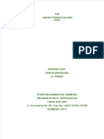 Sap-Dpd PDF