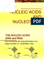 NUCLEIC ACIDS AND NUCLEOTIDES