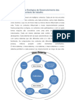 Sistema de Base Ecológica de Desenvolvimento dos Indivíduos em contexto de trabalho