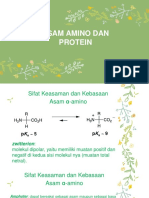 Asam Amino dan Protein.pptx