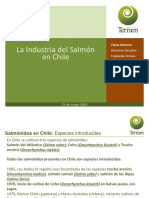 industria-salmon-punta-arenas-mayo-2016
