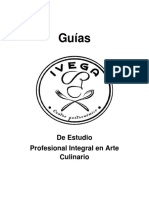(0) Guia Completa.docx