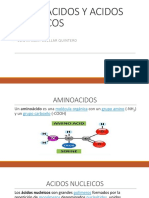 AMINOACIDOS Y ACIDOS NUCLEICOS (1)