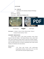 Deskripsi Petrografi Print - PKL Cindi