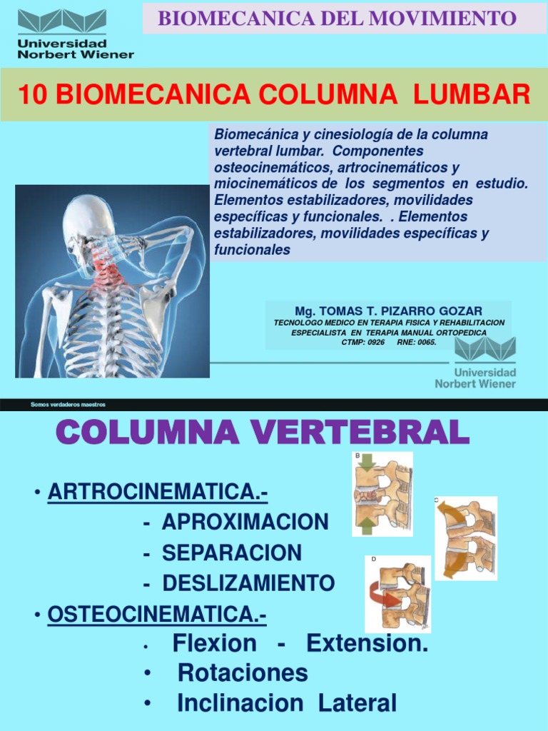 10 Biomecanica Lumbar | PDF | La columna vertebral | Vértebra