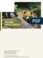 WWF-Brosura-Urs-RO.pdf
