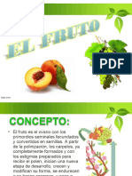 El Fruto PDF