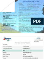 Resumen Curricular PDF
