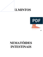 Nematoides 2016