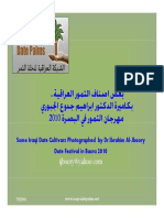 Date Palm PDF