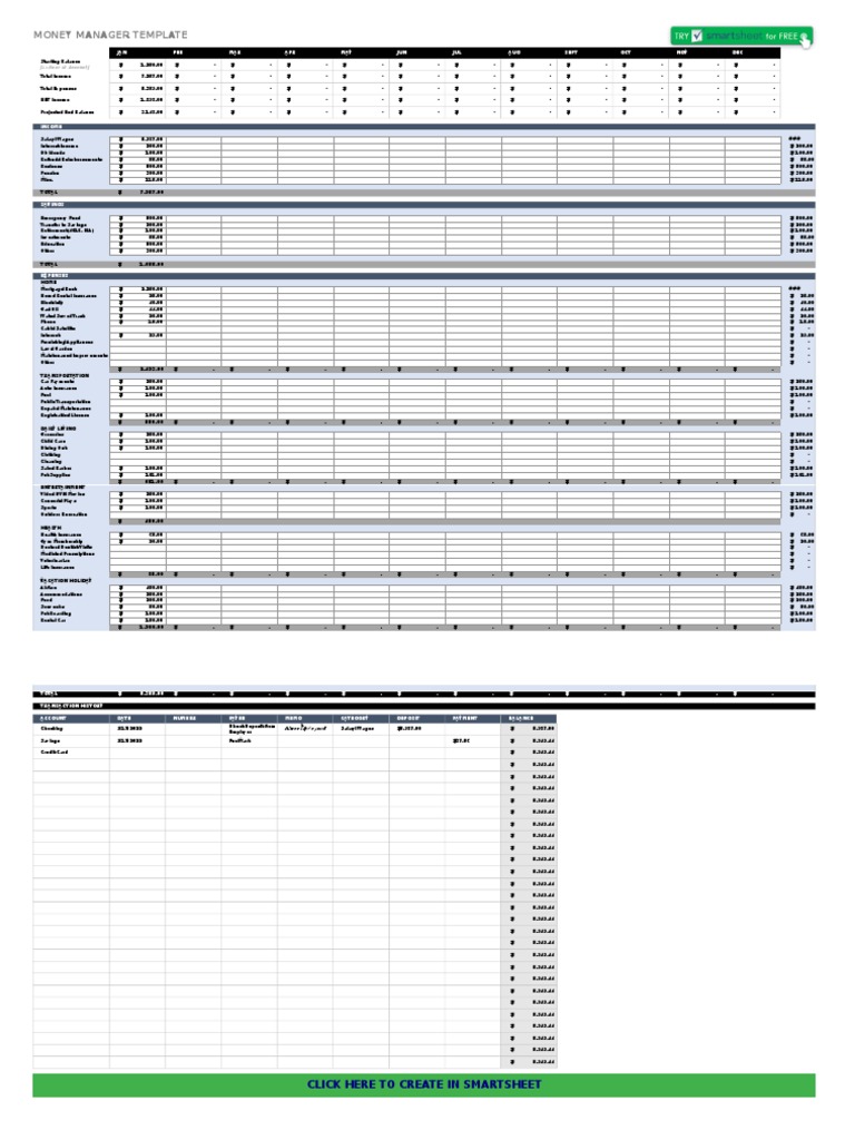 Money Manager Budget Template | PDF | Service Industries | Economies