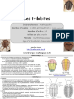 Les Trilobites