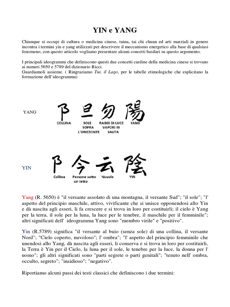 Yin Yang PDF | PDF