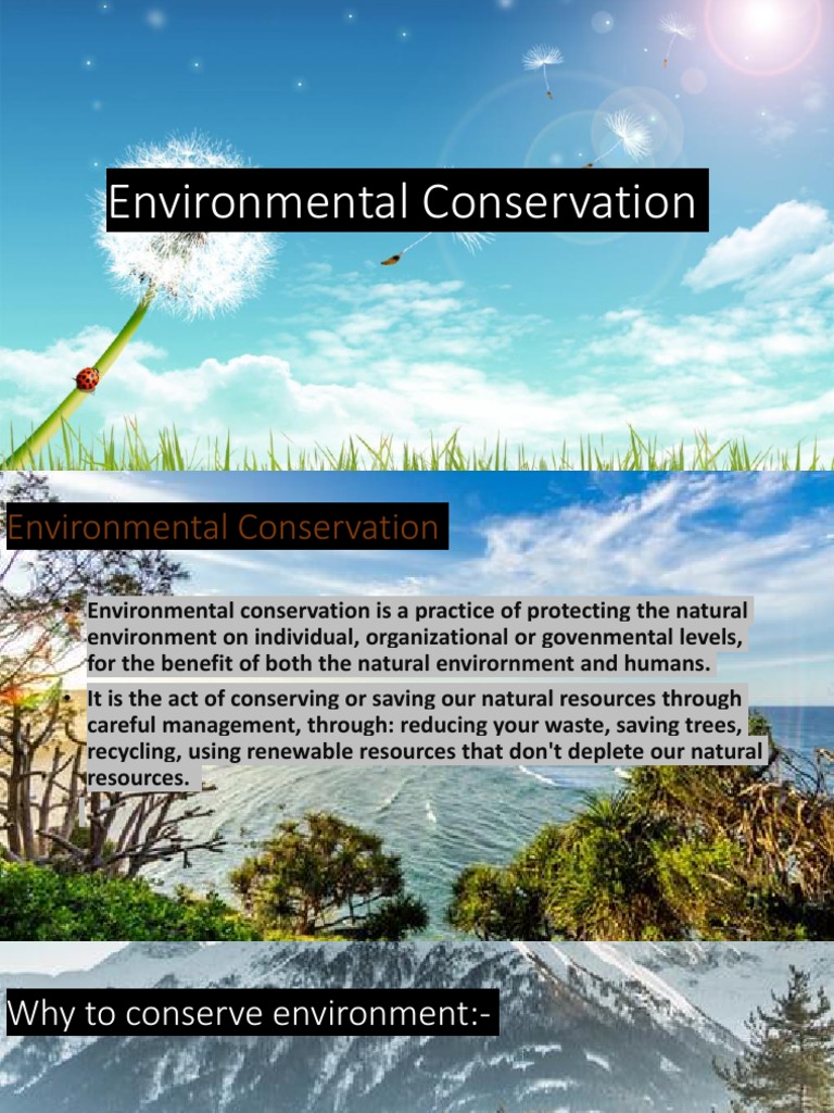 Environmental Conservation Practices | PDF | Ecology | Human Impact On ...