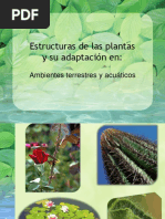 Adaptacion de Las Plantas Al Ambiente PDF